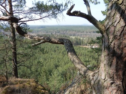 FOTKA - Hradansk stny