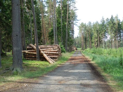 FOTKA - Cyklovlet do Zkup