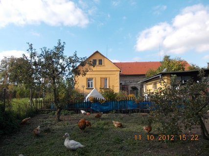 FOTKA - Moje ivotn sthovn