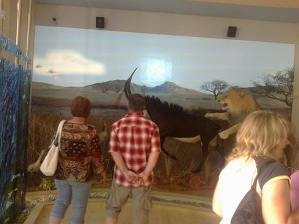 FOTKA - Tip na vlet -  Africk Muzeum Dr. Emila Holuba v Holicch