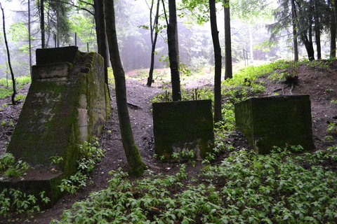 FOTKA - Nvtva tvrze Stachelberg