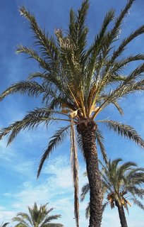 FOTKA - La Manga del Mar Menor