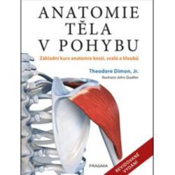 Anatomie tla v pohybu