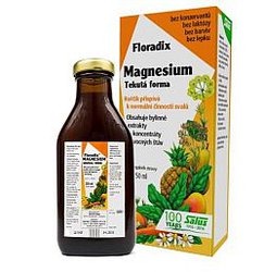 Floradix Magnesium 250ml