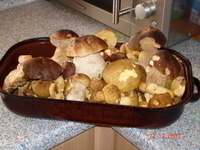 fotka Zapeen chlebky s houbami a srem