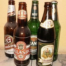 Vdomostn test  Nae pivo a pivovary