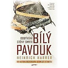 bily-pavouk bily-pavouk