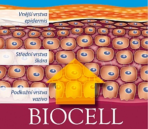 Biocell