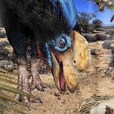 Dinosauři v kostce Dinosauři v kostce