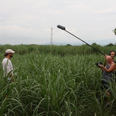 Češi zachraňují... zoborožce na Filipínách Češi zachraňují... zoborožce na Filipínách