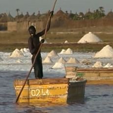 Cestomnie: Senegal - Ve stnu baobabu