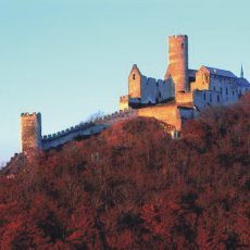Českopis Českopis