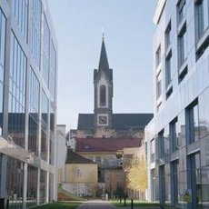 Český žurnál Český žurnál