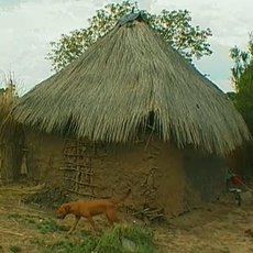 Cestománie: Botswana – Placatá Afrika Cestománie: Botswana – Placatá Afrika