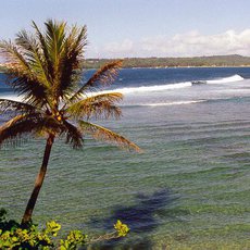 Cestomnie: Martinik a Guadeloupe  hav Mal Antily