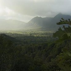 Panama Panama