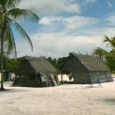 Cestománie: Surinam – Holandské dědictví Cestománie: Surinam – Holandské dědictví