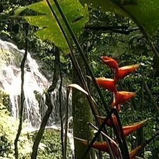 Surinam – Holandské dědictví Surinam – Holandské dědictví