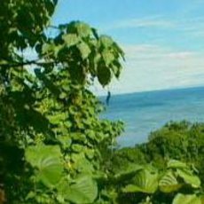 Cestománie: Vanuatu – Děti ráje Cestománie: Vanuatu – Děti ráje