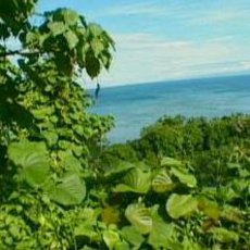 Cestománie: Vanuatu – Děti ráje Cestománie: Vanuatu – Děti ráje