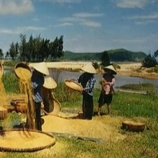 Cestománie: Vietnam – Barvy tropů Cestománie: Vietnam – Barvy tropů