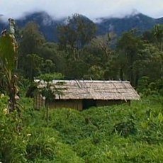 Cestomnie - alomounovy ostrovy: Zem dosud zaslben
