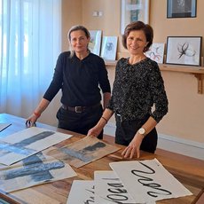 13. komnata Radky Folprechtové 13. komnata Radky Folprechtové