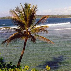 Cestomnie - Martinik a Guadeloupe: hav Mal Antily