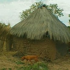 Cestománie - Botswana: Placatá Afrika Cestománie - Botswana: Placatá Afrika
