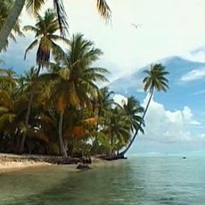 Cestomnie - Francouzsk Polynsie: Nebe na zemi