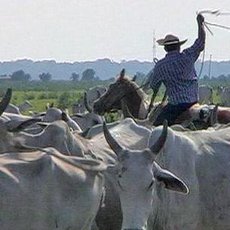 Cestománie - Paraguay: Kovbojů ráj