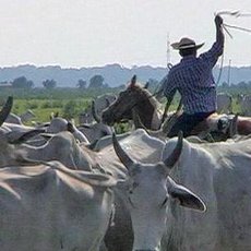 Cestománie - Paraguay: Kovbojů ráj Cestománie - Paraguay: Kovbojů ráj