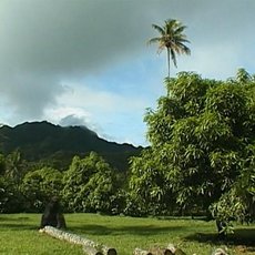 Cestomnie - Cookovy ostrovy: Kvty Pacifiku
