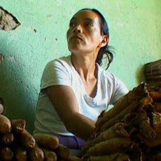 Cestománie - Honduras: Poslední ráj Cestománie - Honduras: Poslední ráj