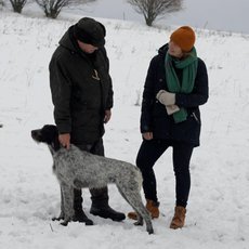 Co naše babičky uměly a na co my jsme zapomněli - Český pes Co naše babičky uměly a na co my jsme zapomněli - Český pes