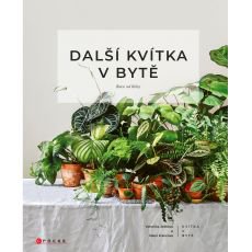 Další kvítka v bytě: Ruce od hlíny Další kvítka v bytě: Ruce od hlíny