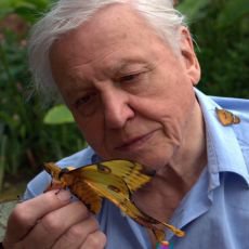 David Attenborough a jeho legendrn dokumenty na Prima ZOOM