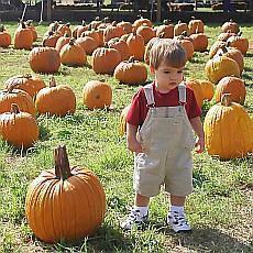 Vdomostn test -Duiky nebo Halloween?