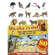 Divoká zvířata Divoká zvířata
