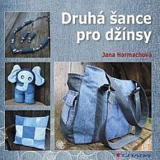 Druh ance pro dnsy