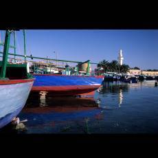 arnaud-chicurel-hemis-fr-hurghada