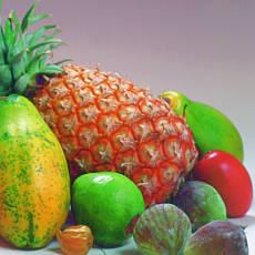 exotick ovoce - ananas a mango