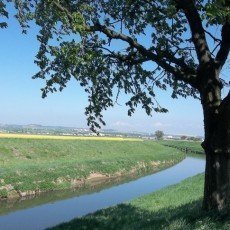 Rozhledna Javornk u Velk nad Velikou