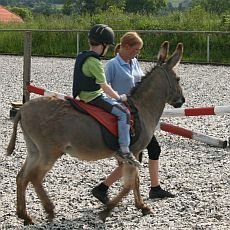 jzda na oslovi