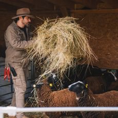 Farma Vojty Kotka, dl 8: Elektrik, ovk, ale tak kok, bagrista, stjnk... Kolik rol Vojta zvldne bhem jedinho dlu?