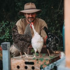 Farma Vojty Kotka, dl 4: Pesun slepic, pchod novch obyvatel farmy, stl boj s vodou i ekologicky ohvan voda