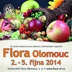 Flora Olomouc 2014