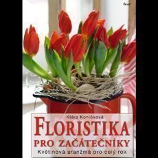 Floristika pro zatenky