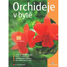 Orchideje v byt