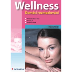 Wellness - domc rozmazlovn